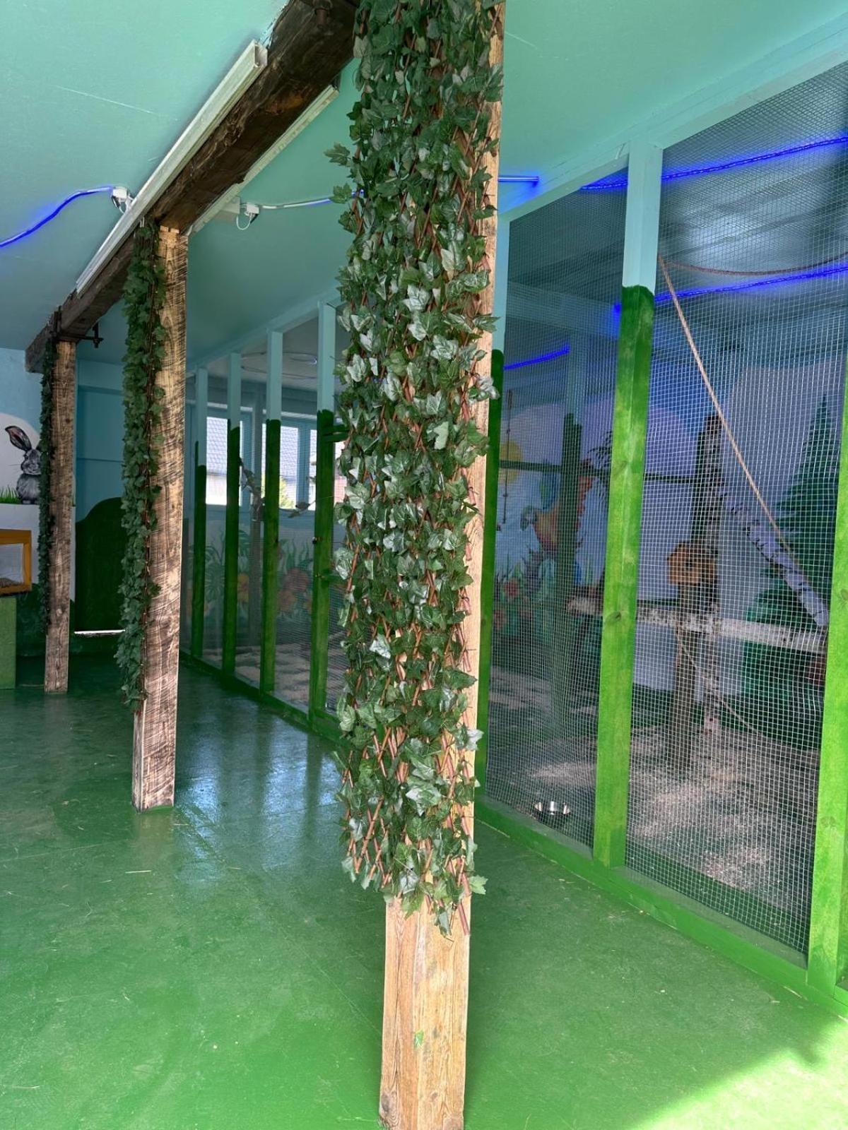شقة Agroturystyka Alpaka Konradow Konradow  المظهر الخارجي الصورة